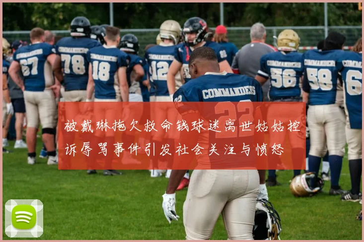 被戴琳拖欠救命钱球迷离世姑姑控诉辱骂事件引发社会关注与愤怒