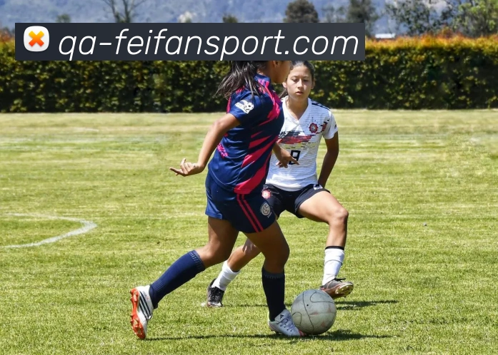 非凡体育平台生态图